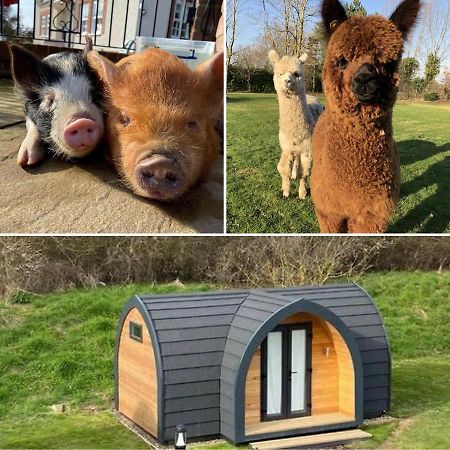 The Piggery Pod Hotel Sittingbourne Exterior photo